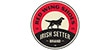 Irish Setter image